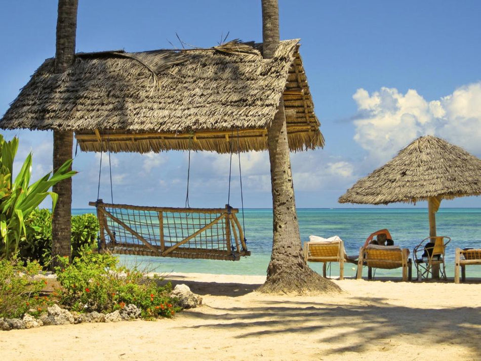 Safari in Tanzania and Zanzibar