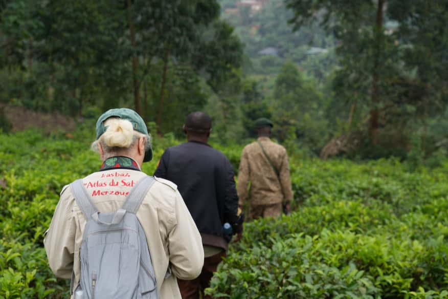 Uganda - Gorilas en la Perla Salvaje de África