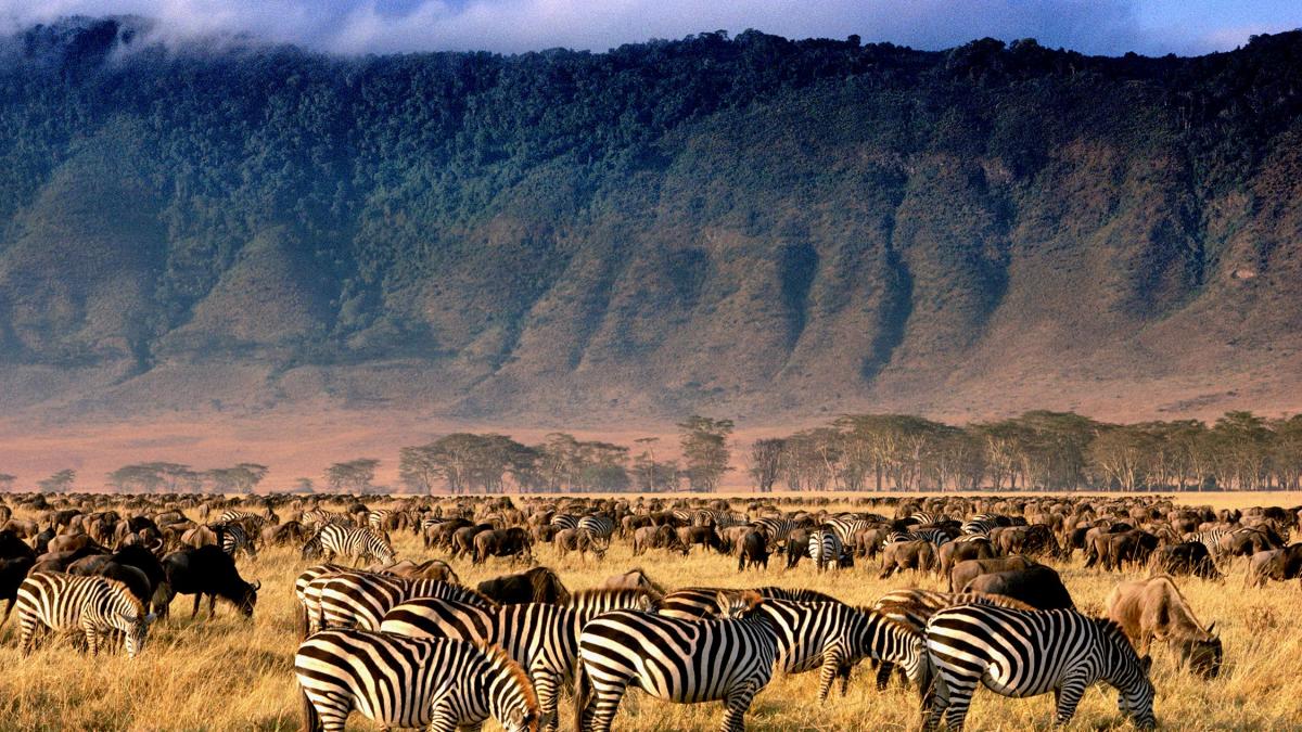 Primer Pago Viaje Uganda Tanzania y Zanzibar